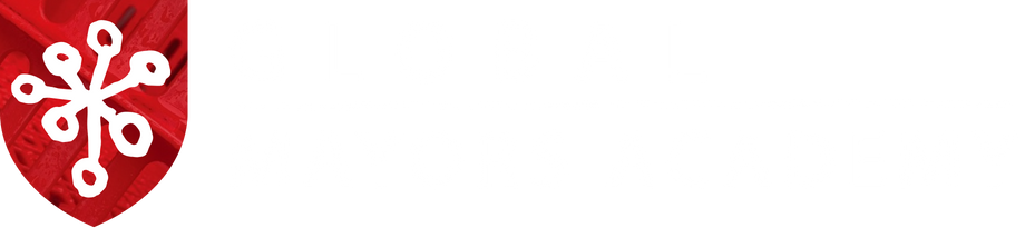 Global Mayors Academy
